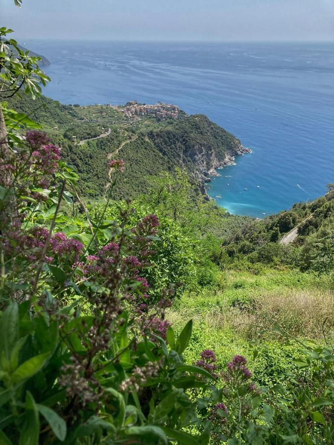 Villa La Casa Rossa Arcola Con Vista Esterno foto