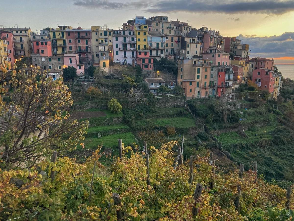 Villa La Casa Rossa Arcola Con Vista Esterno foto