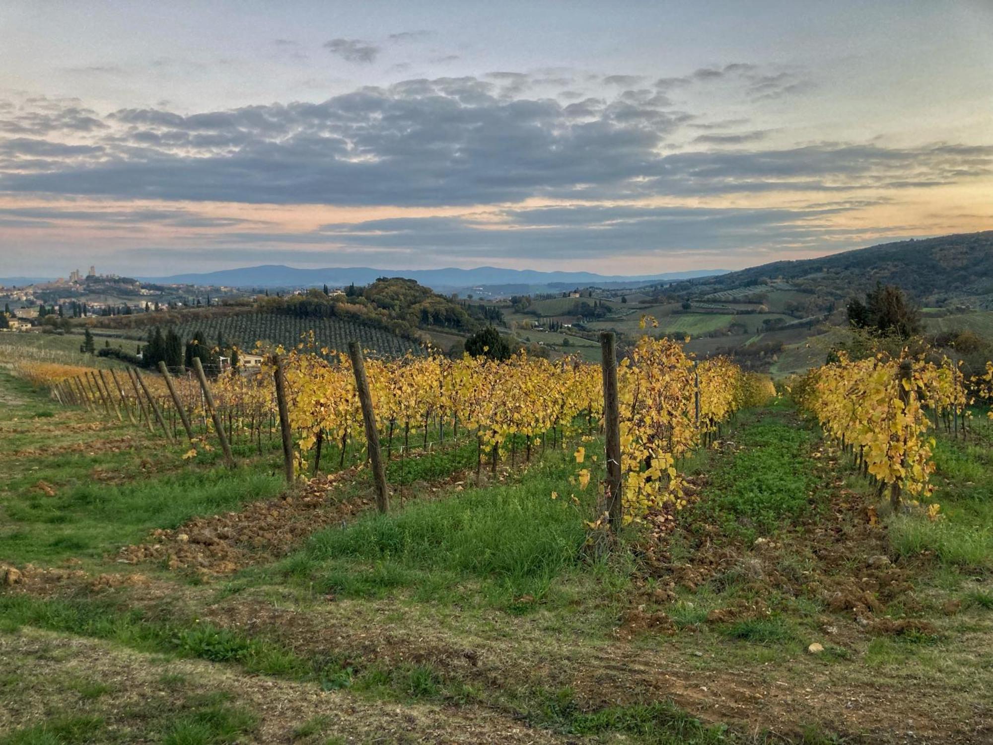 Villa La Casa Rossa Arcola Con Vista Esterno foto
