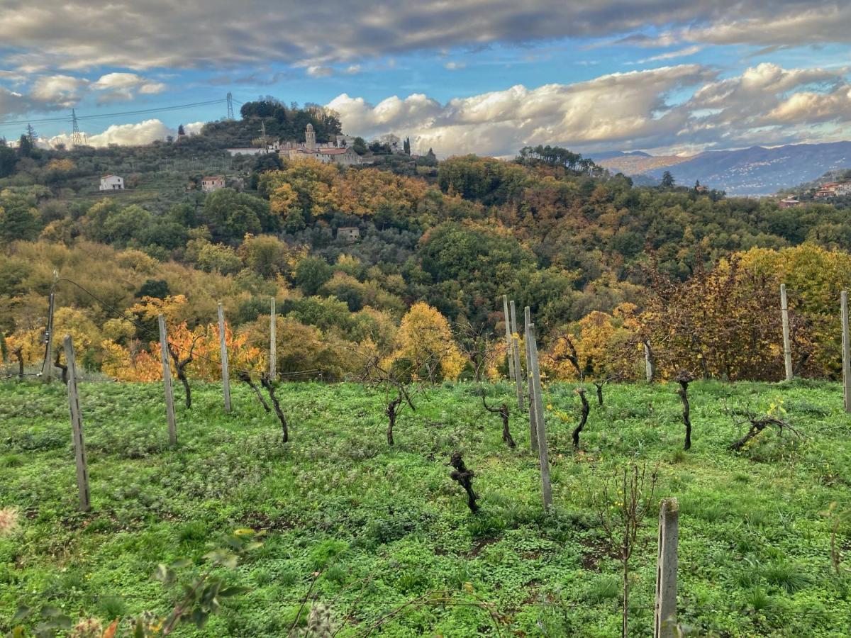 Villa La Casa Rossa Arcola Con Vista Esterno foto