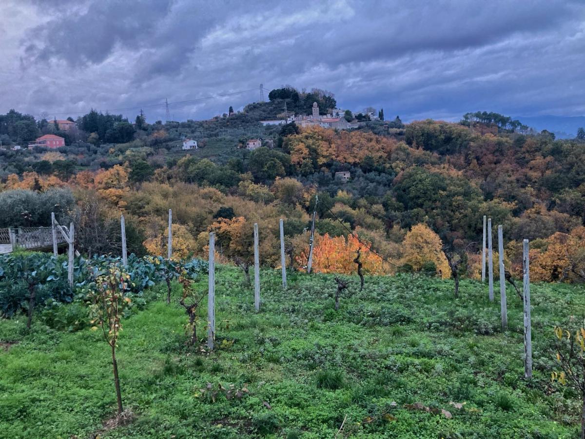 Villa La Casa Rossa Arcola Con Vista Esterno foto